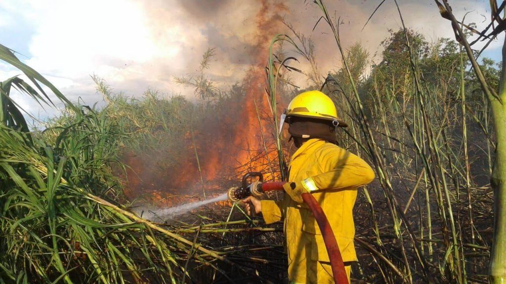 Hubo menos incendios forestales en el 2019 en Oberá