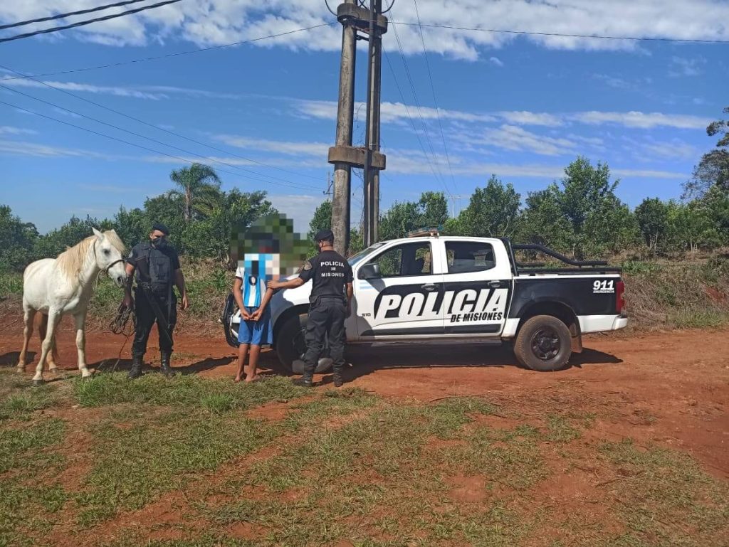 Recuperaron un caballo robado y demoraron al supuesto autor del hecho