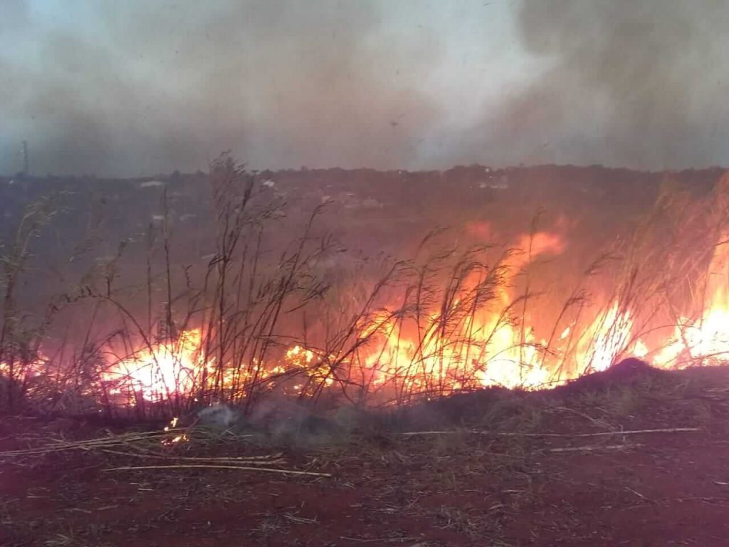 Bomberos sofocaron dos incendios de malezas en Oberá