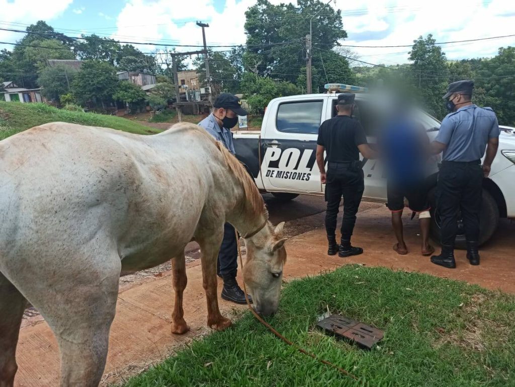 Joven detenido por el robo de una garrafa y un caballo