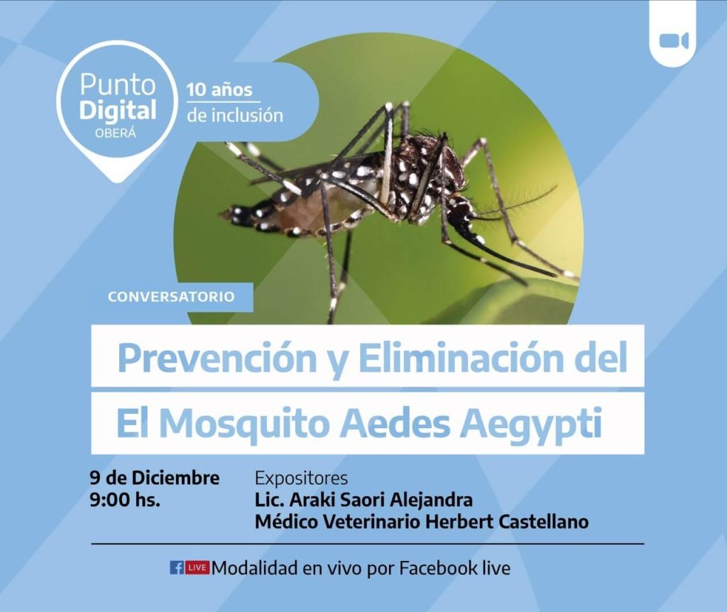 Conversatorio sobre control y eliminación de mosquitos