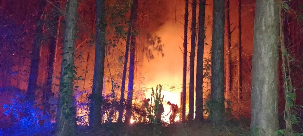 Combaten incendio forestal en Mártires