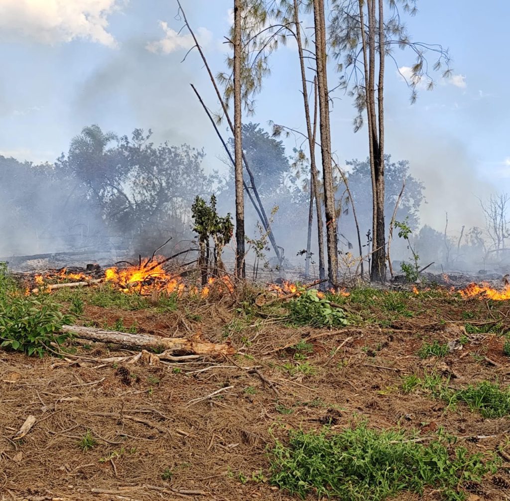 Incendios en Los Helechos y Oberá