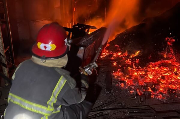 Incendio en un secadero de té de General Alvear afectó 800 toneladas de producción