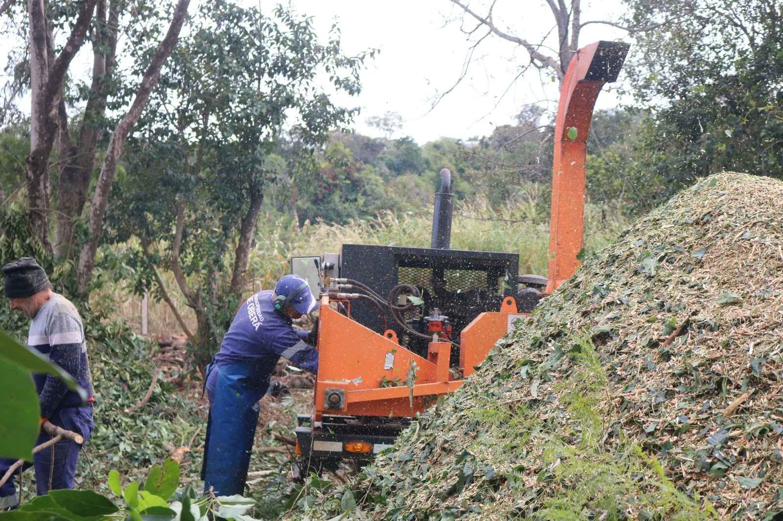 El Operativo de Podas 2026 alcanzó 47 barrios y sumó un nuevo sistema para reutilizar los residuos verdes