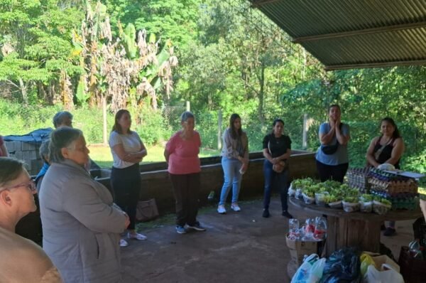 25 familias de Oberá recibieron semillas y plantines para sus huertas