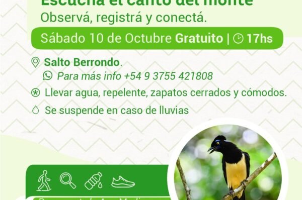 «Escuchá el canto del monte»: el Global Big Day llega a Salto Berrondo este sábado