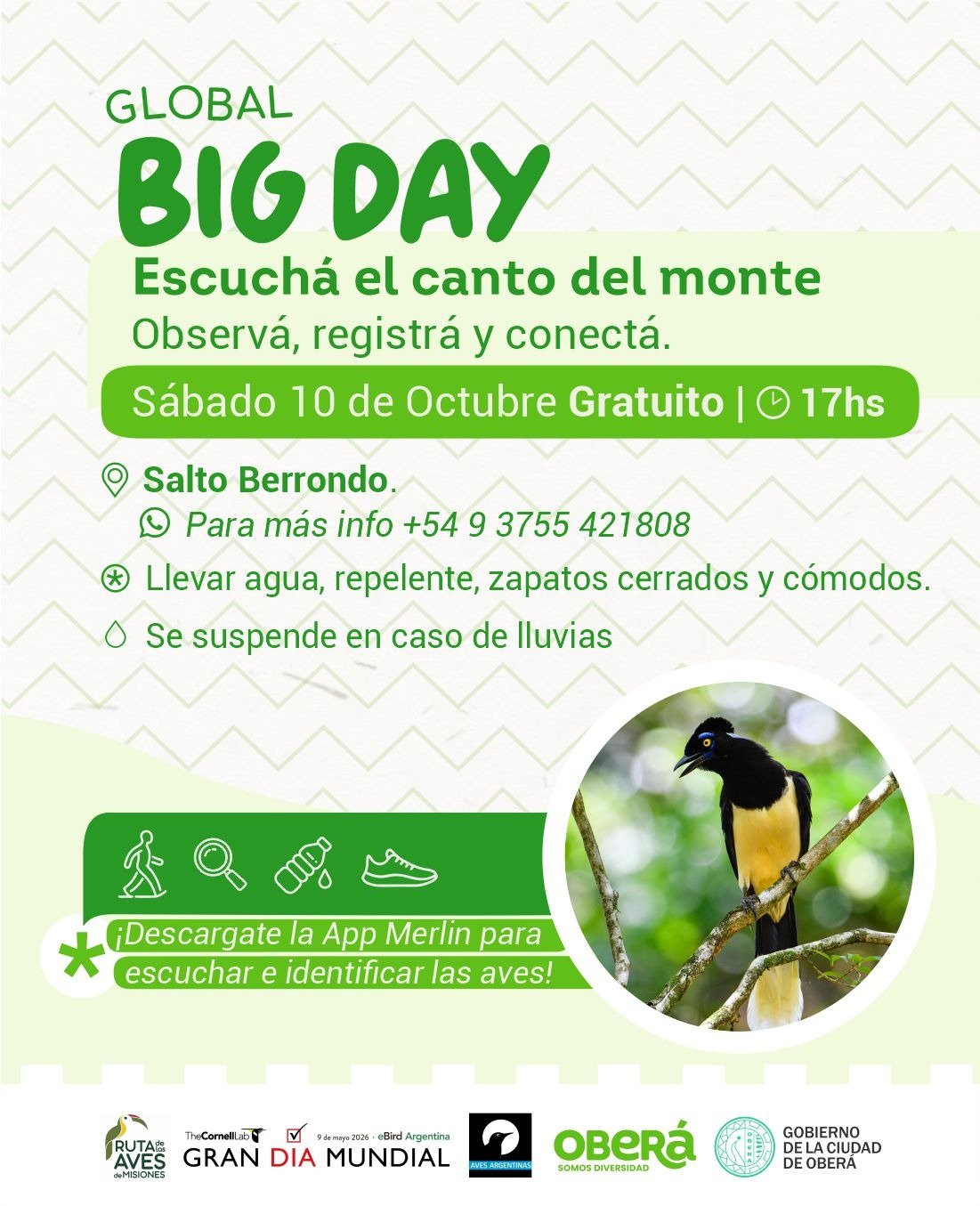 «Escuchá el canto del monte»: el Global Big Day llega a Salto Berrondo este sábado