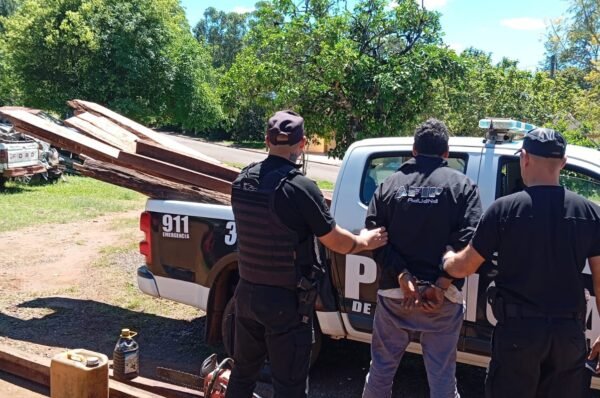 Detuvieron a un hombre acusado de sustraer madera de lapacho en una propiedad rural de Mártires