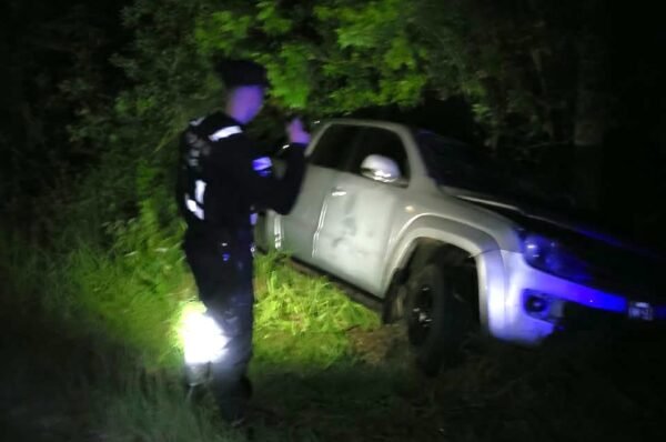 Demoraron al conductor de una camioneta tras un choque fatal en San Martín