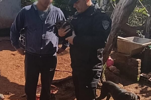Rescató a un pequeño felino atacado por perros y descubrió que era un gato tirica