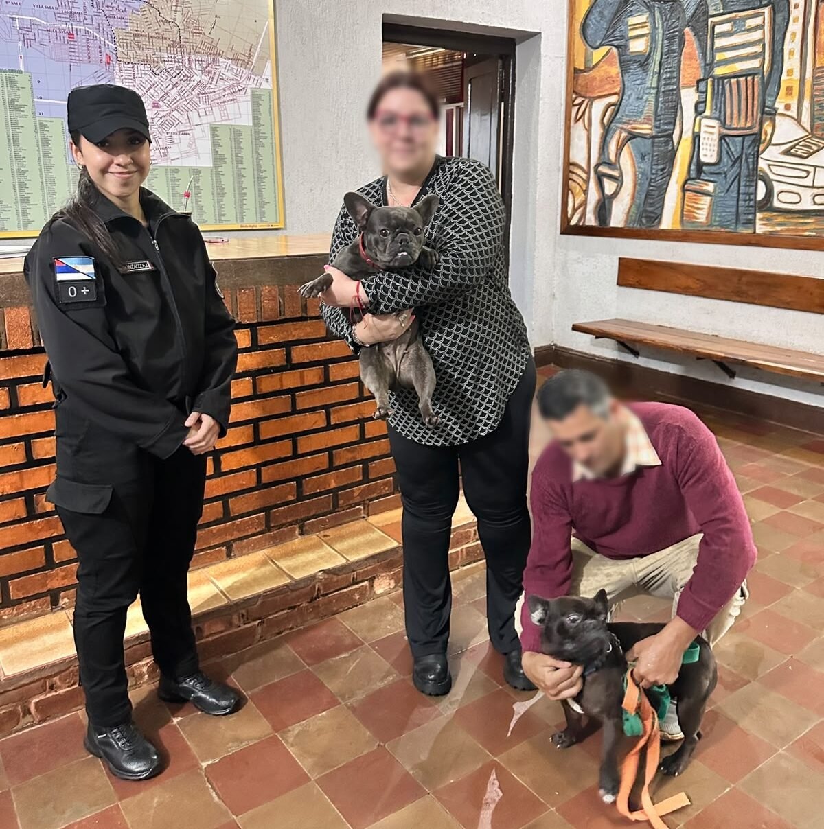 Dos bulldogs franceses aparecieron en un boliche de Oberá y la Policía los devolvió a su hogar