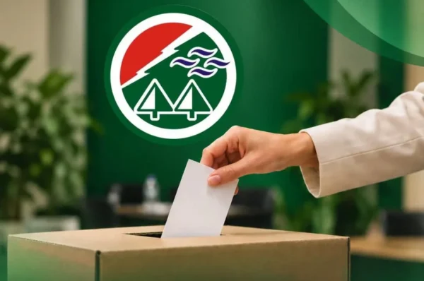 Elecciones distritales de la Celo entre Lista Rosa y Lista Gris